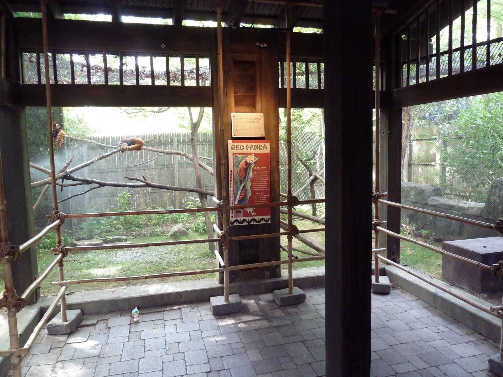 Wild Asia - Red Panda Exhibit