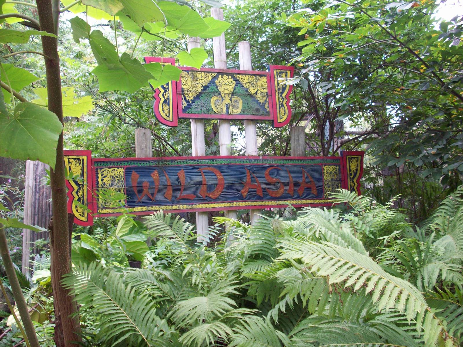 Wild Asia Sign