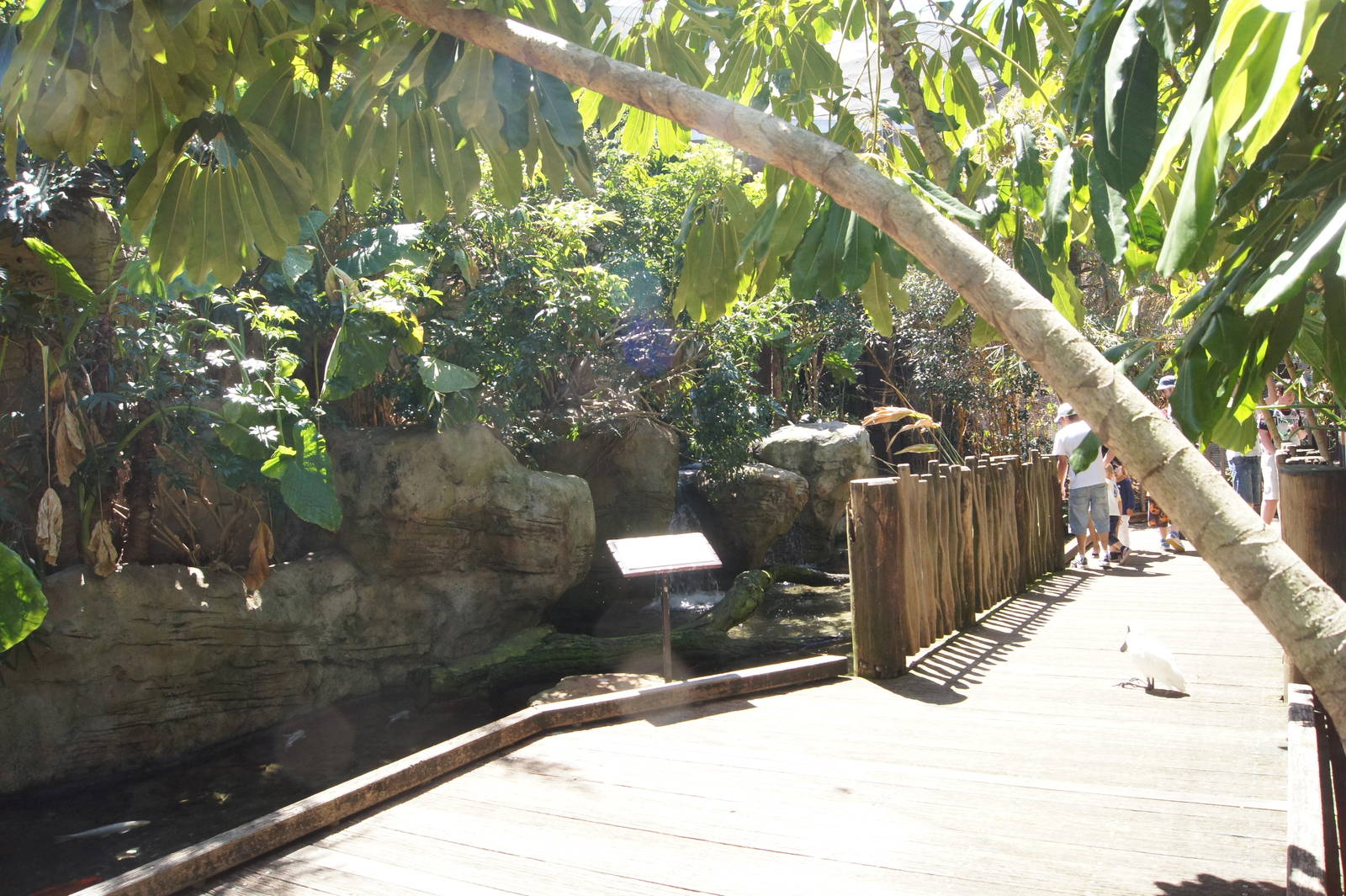 Wild Asia: Wetlands Aviary