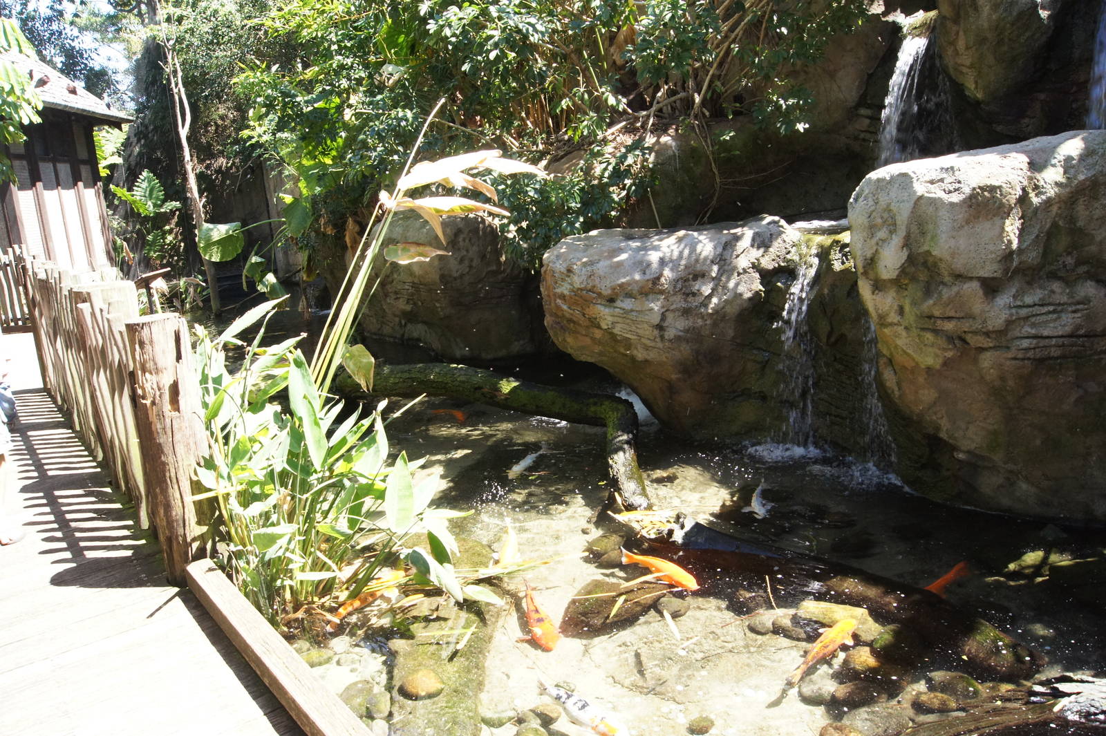 Wild Asia: Wetlands Aviary