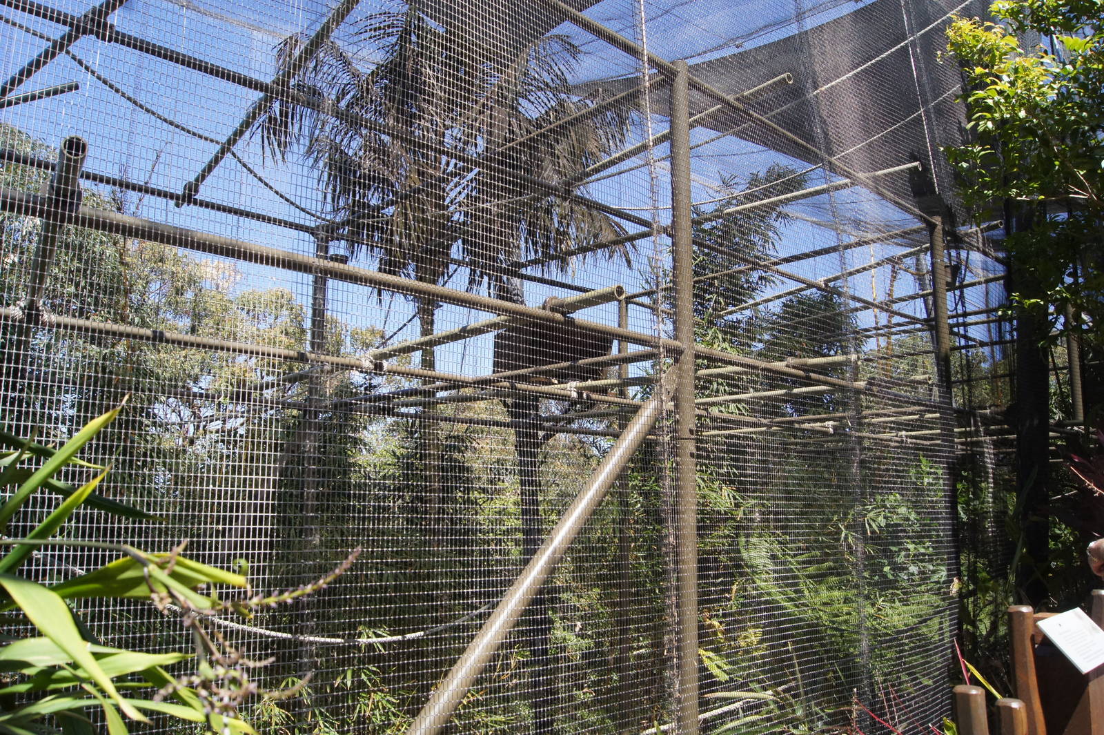 Wild Asia: White Cheeked Gibbon Exhibit