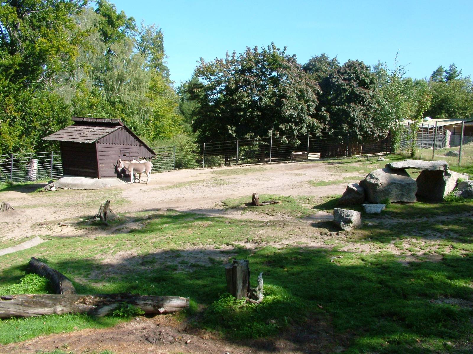 Wild Ass Paddock at Liberec, 28/08/12