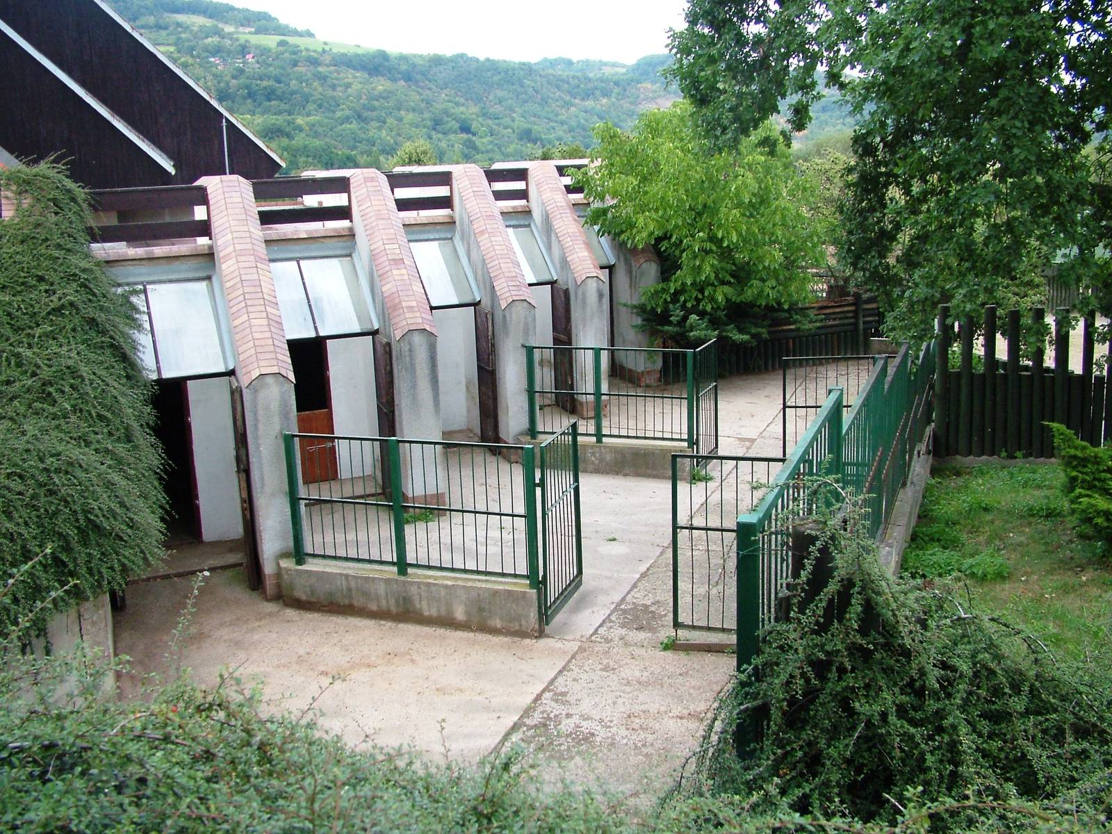 Wild Ass Yards at Usti, 29/08/12