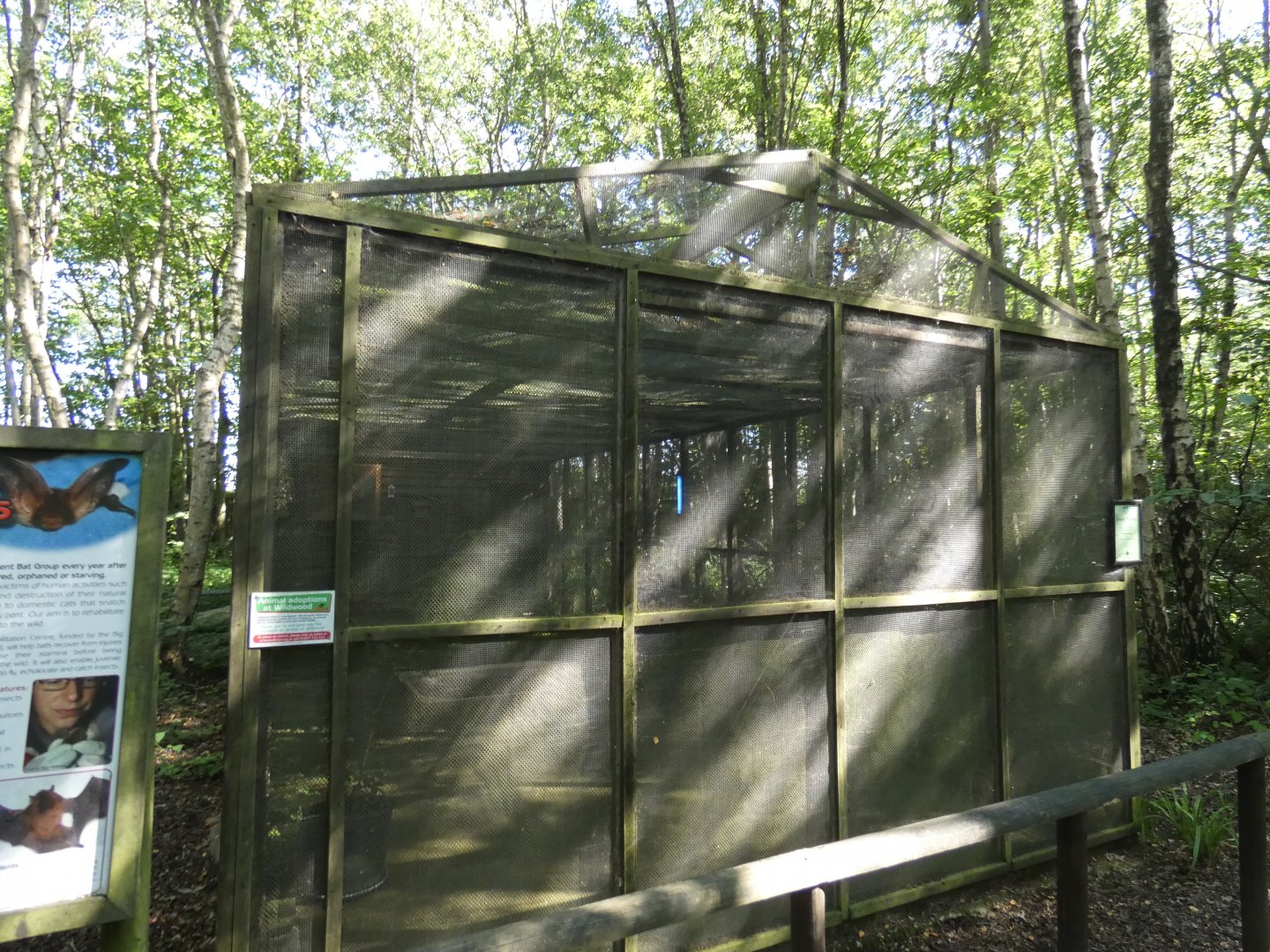 Wild bat rehabilitation enclosure