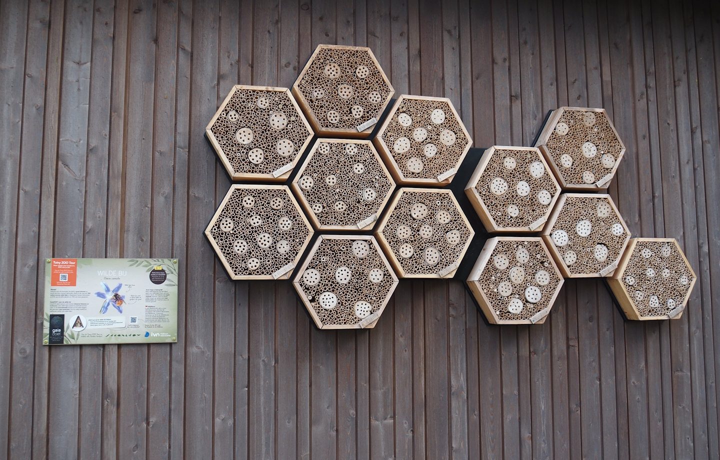 Wild bee hotel, 2024-08-21