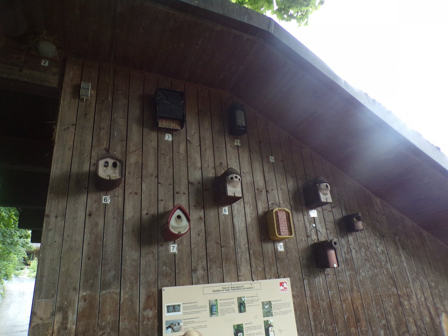 Wild bird housing 9.7.25
