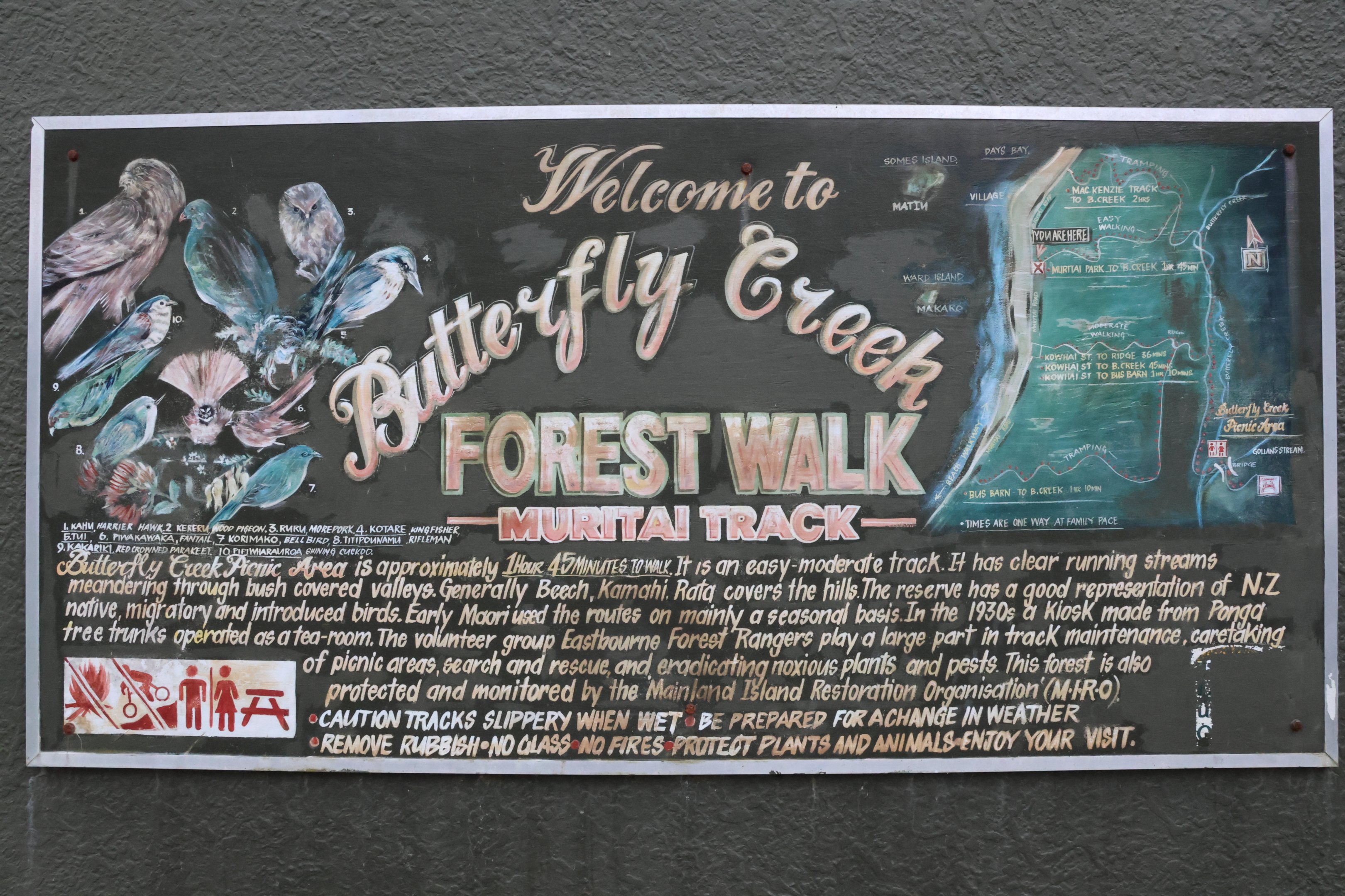 Wild bird signage, Butterfly Creek (Eastbourne, Lower Hutt, Wellington)