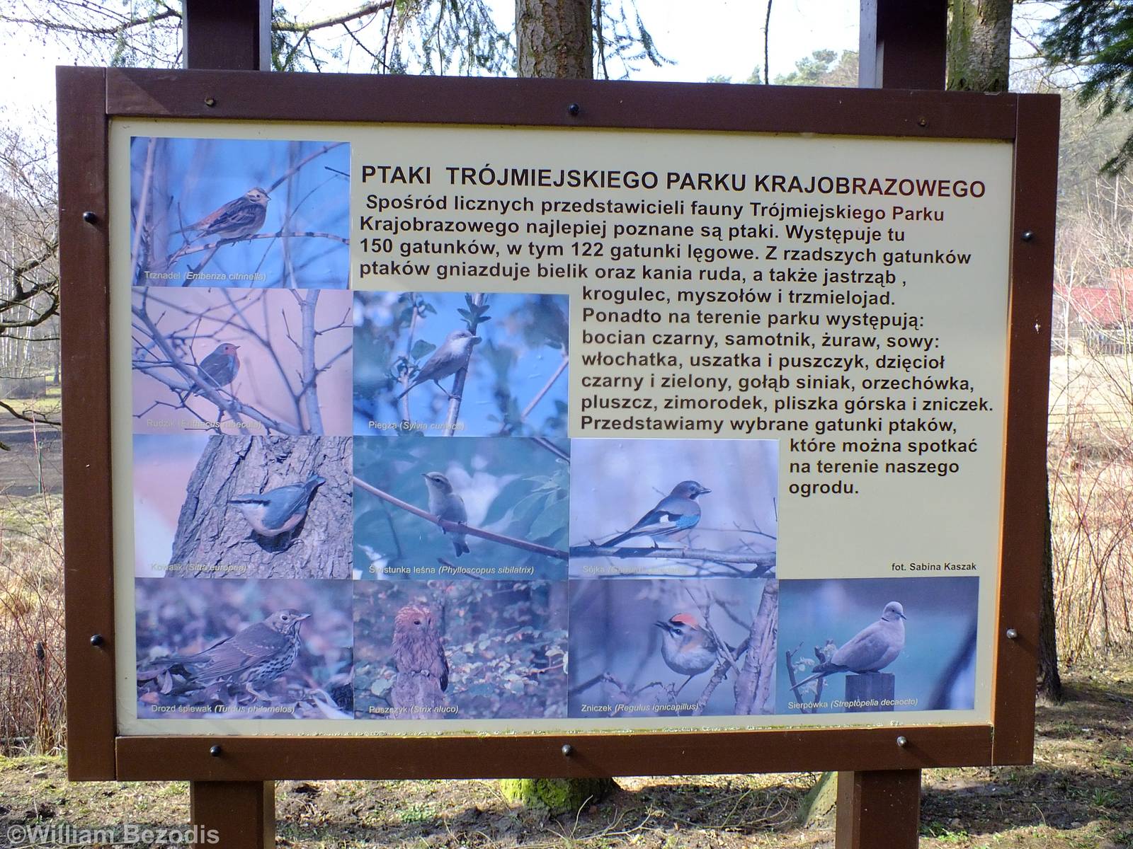 Wild Birds Sign