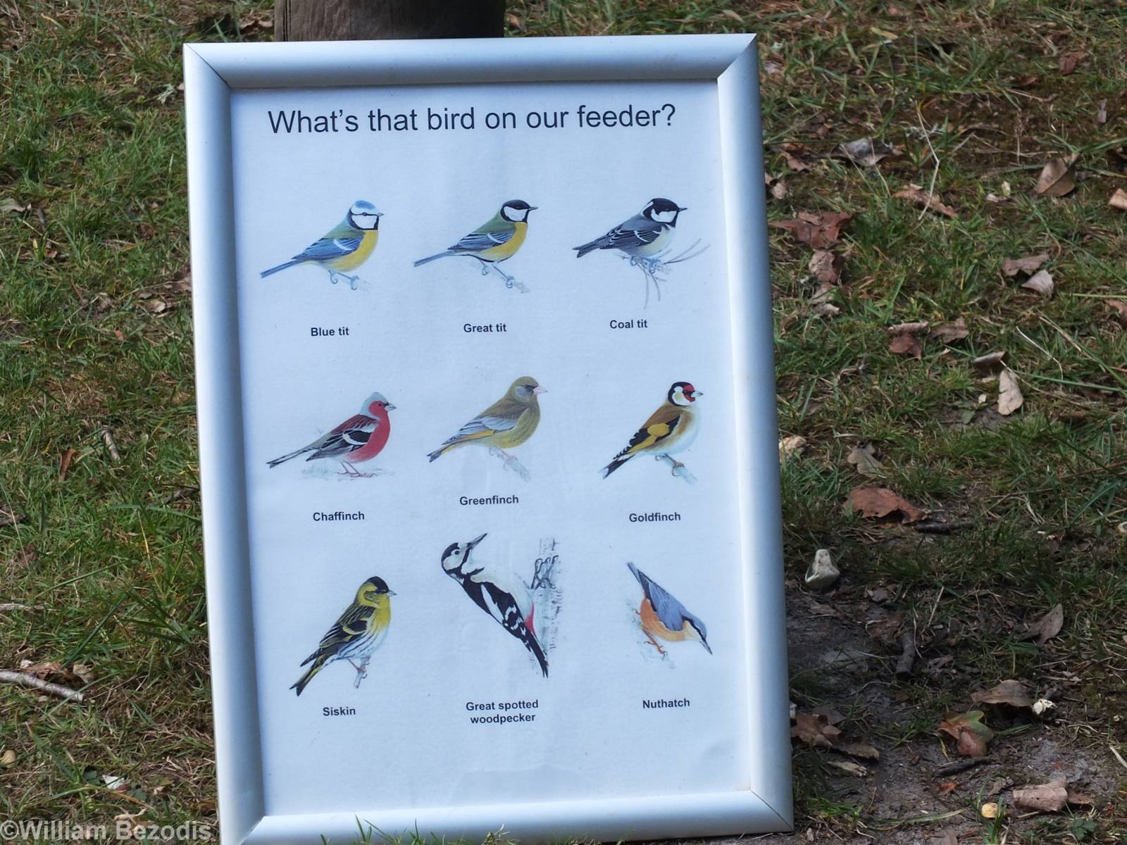Wild Birds Sign