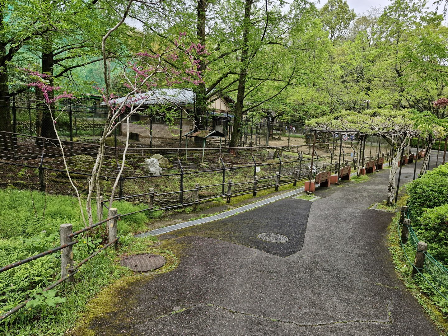 Wild boar and blackbuck enclosures