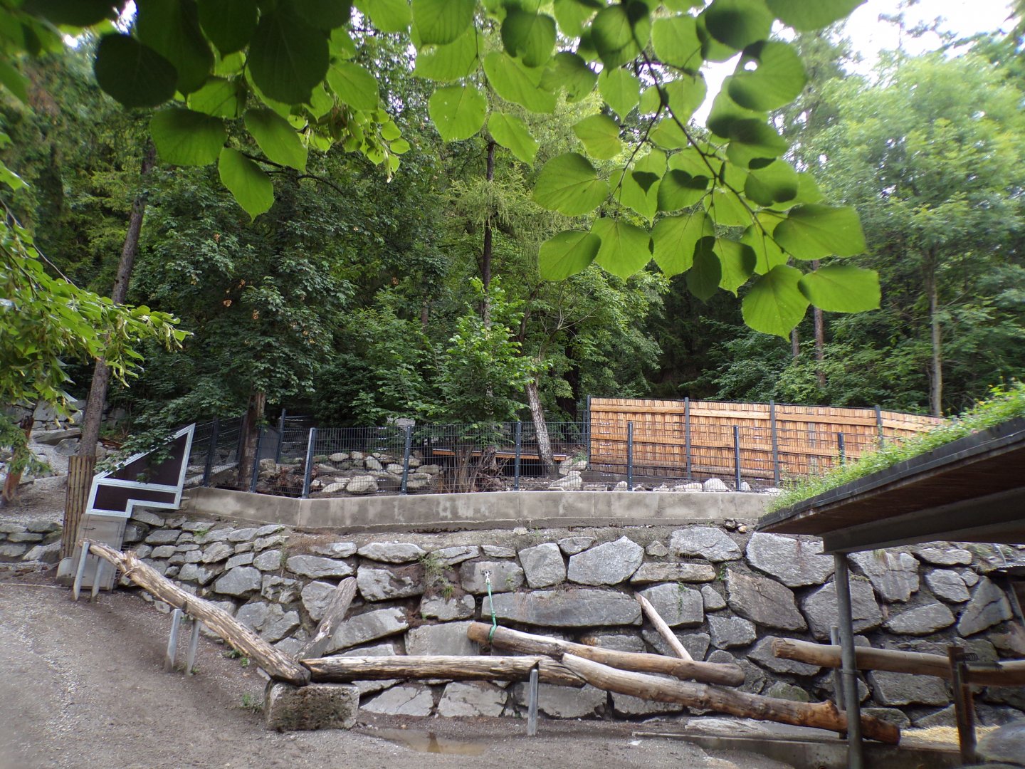 WIld boar enclosure (are they still housed here?) 9.7.25