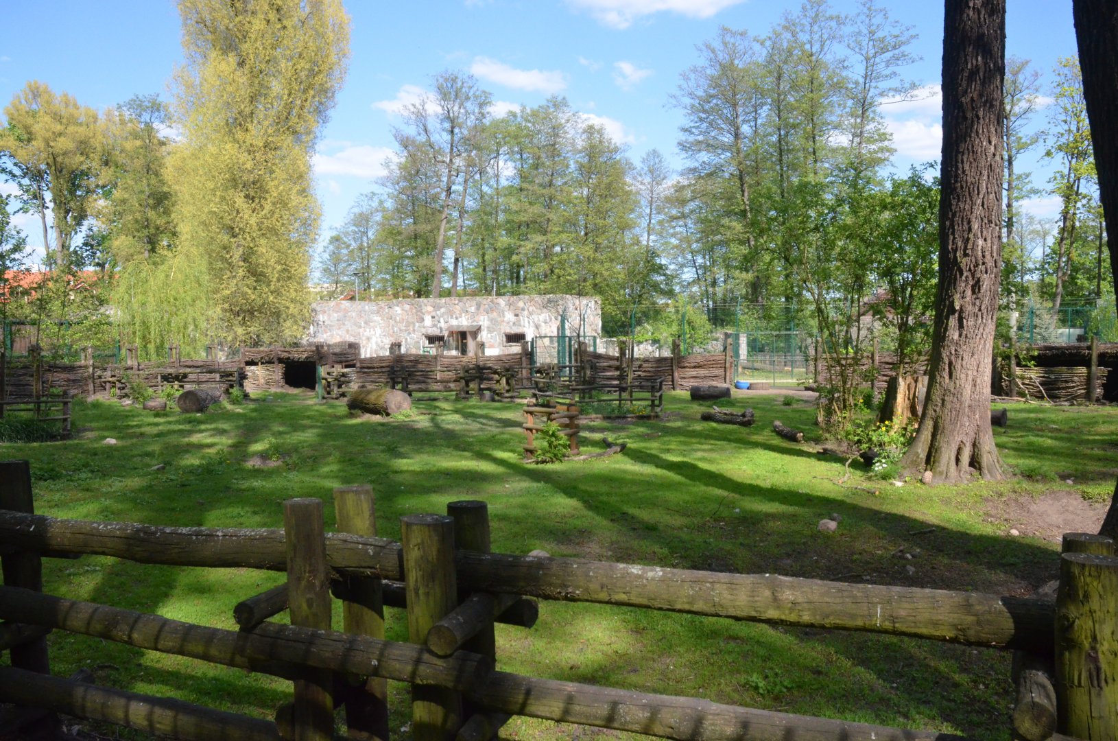 Wild Boar Enclosure at Akcent Zoo Białystok, 08/05/19