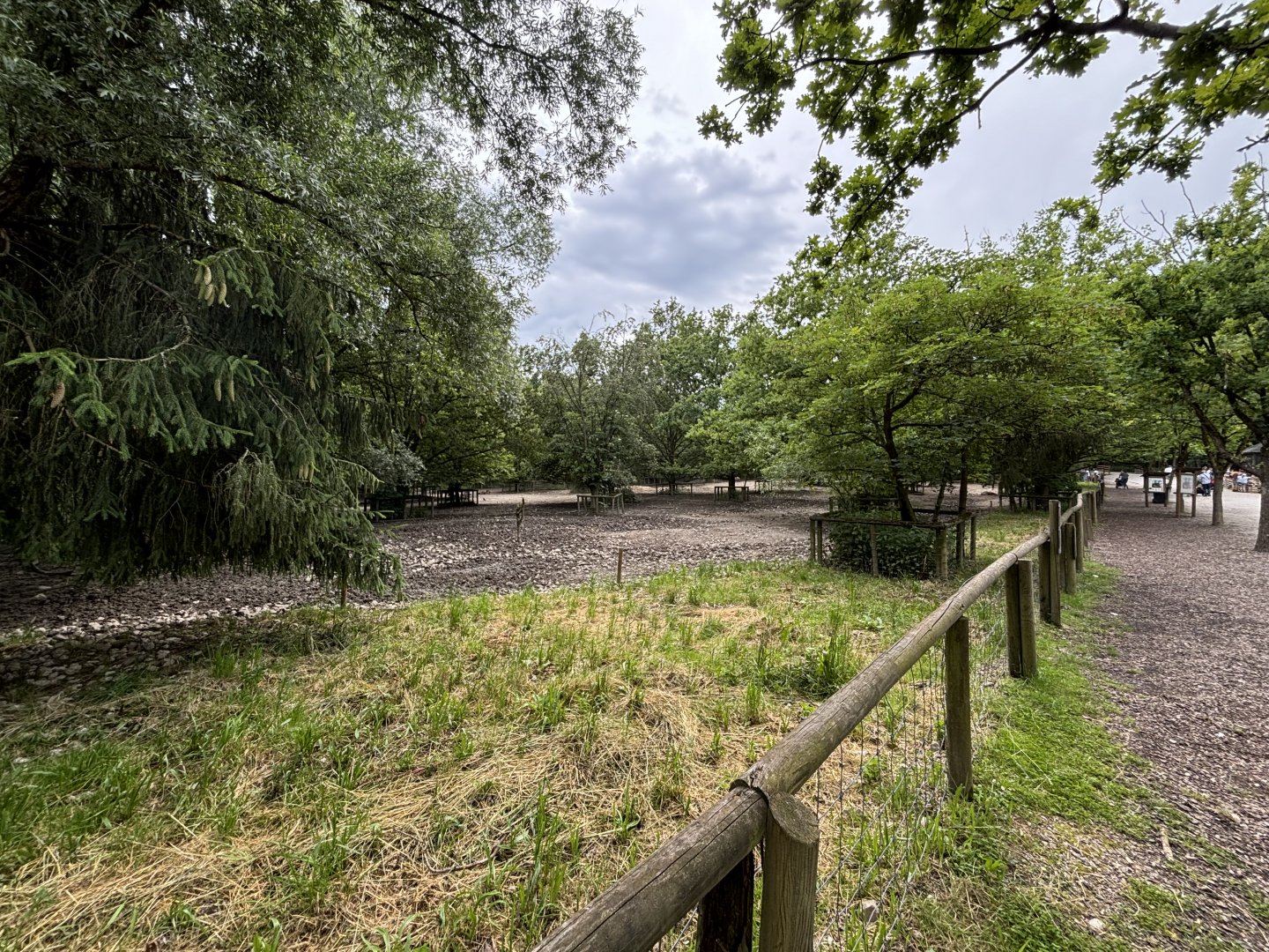 Wild Boar Enclosure at Widlpark Poing