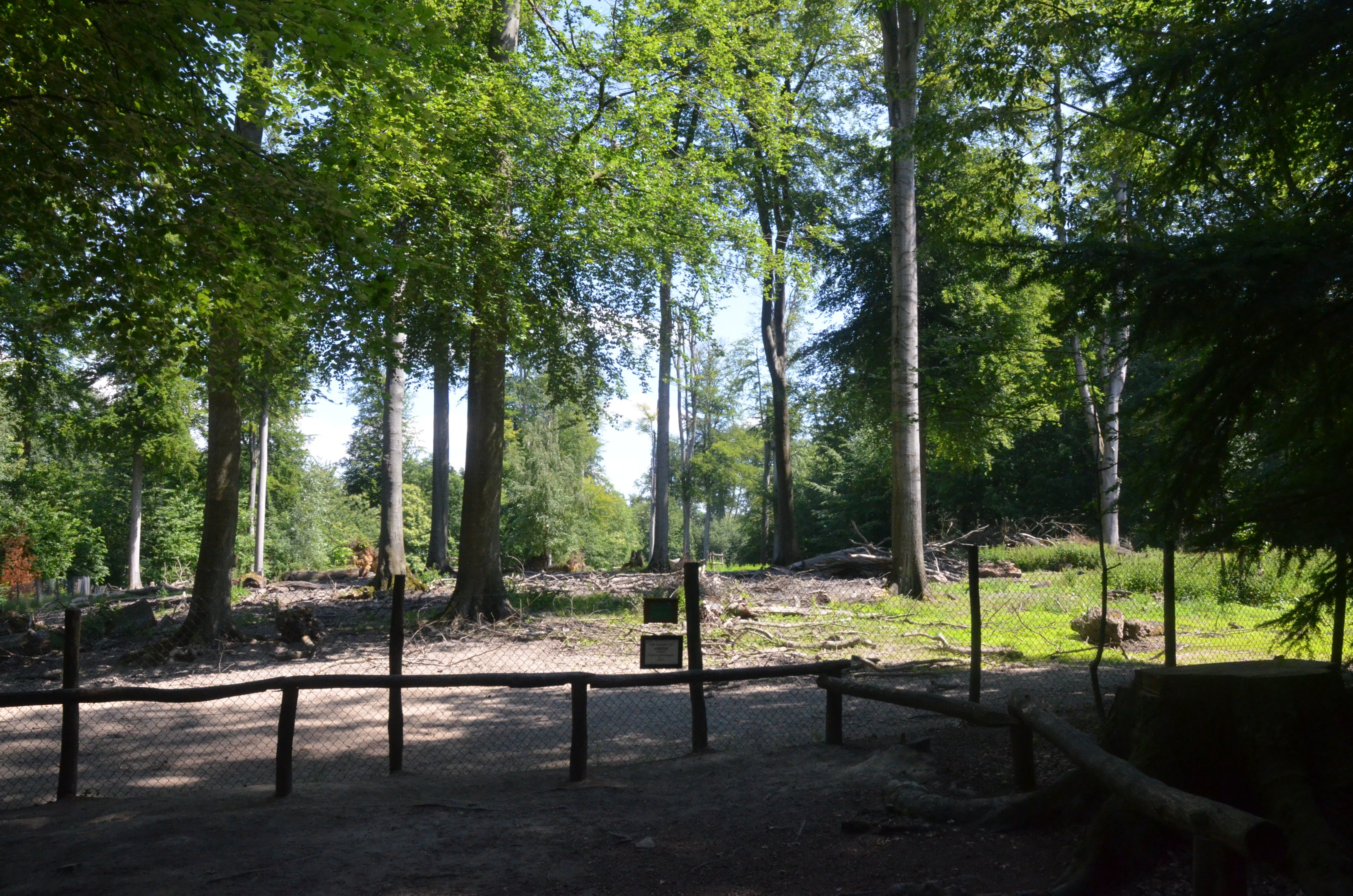 Wild Boar Enclosure at Wildpark Grafenberger Wald, 23/06/2019