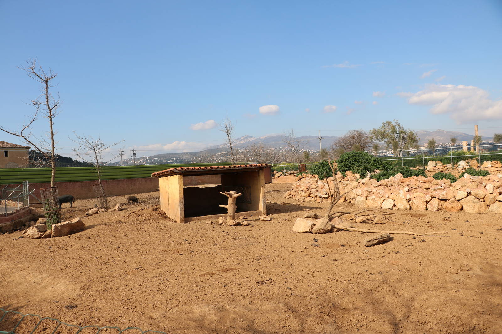 Wild boar enclosure, February 2016