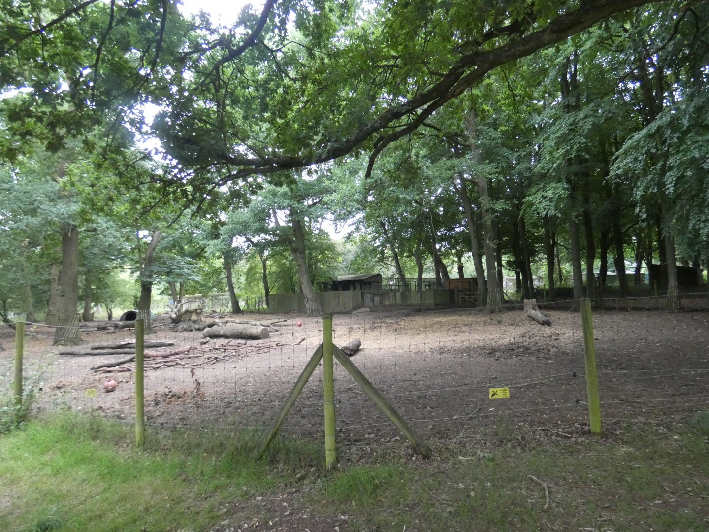 Wild Boar enclosure