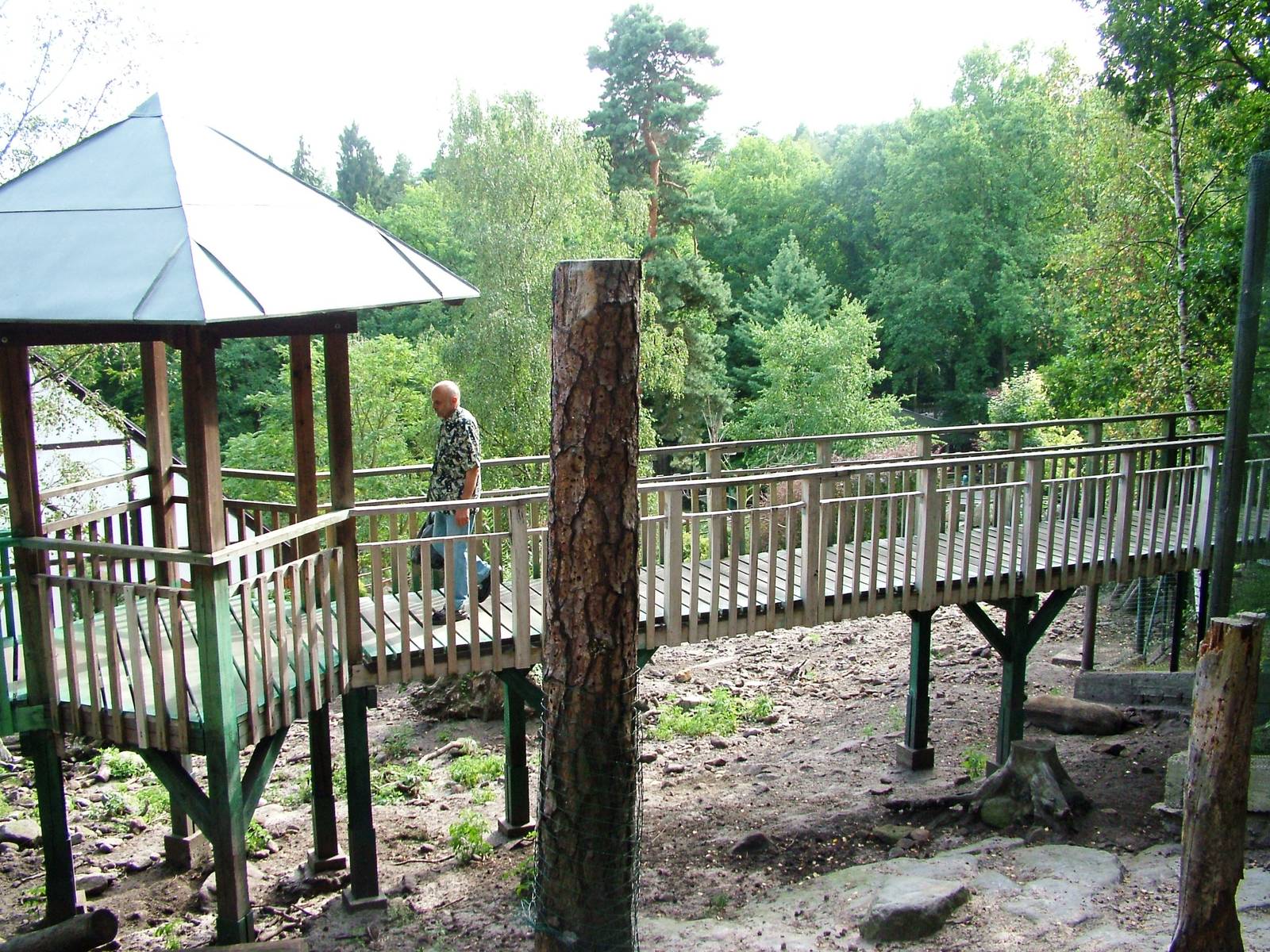 Wild Boar Exhibit at Decin, 28/08/12