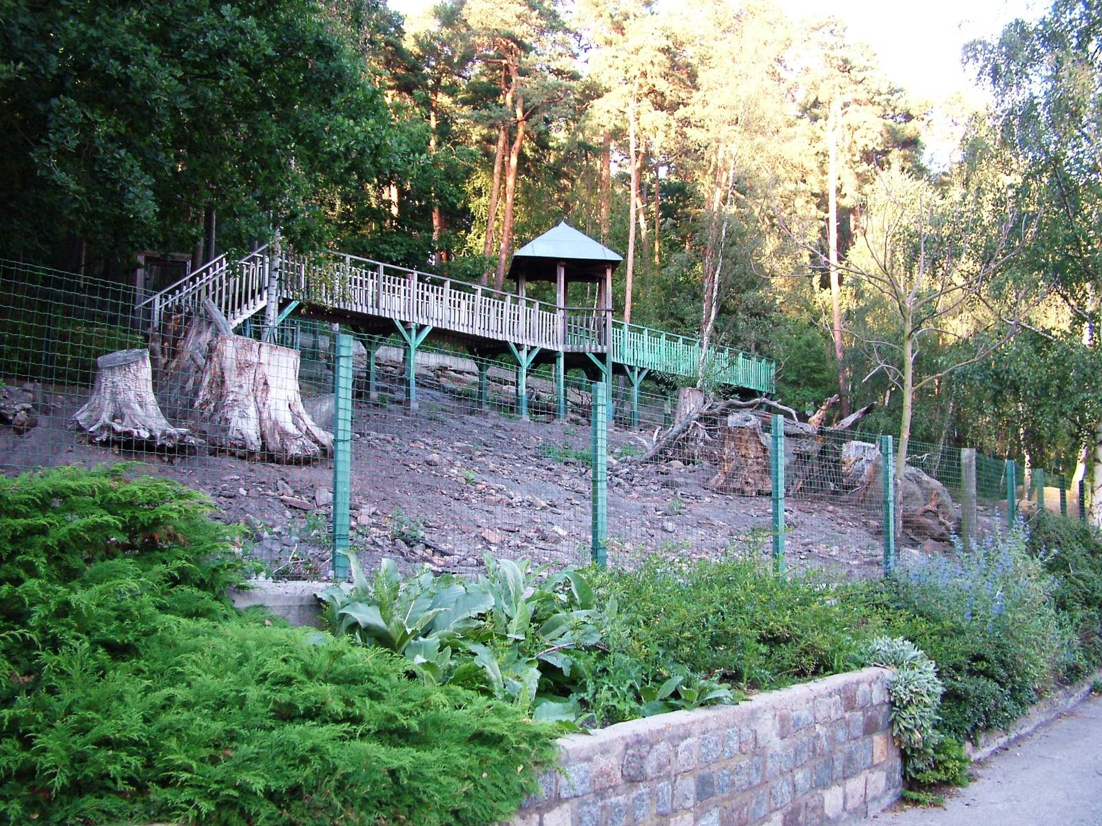 Wild Boar Exhibit at Decin, 28/08/12
