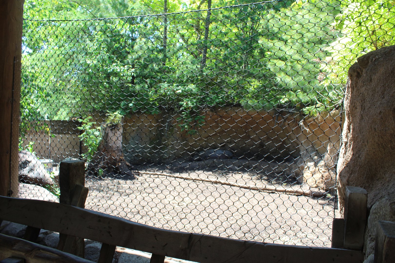 Wild Boar Exhibit - Russia's Grizzly Coast