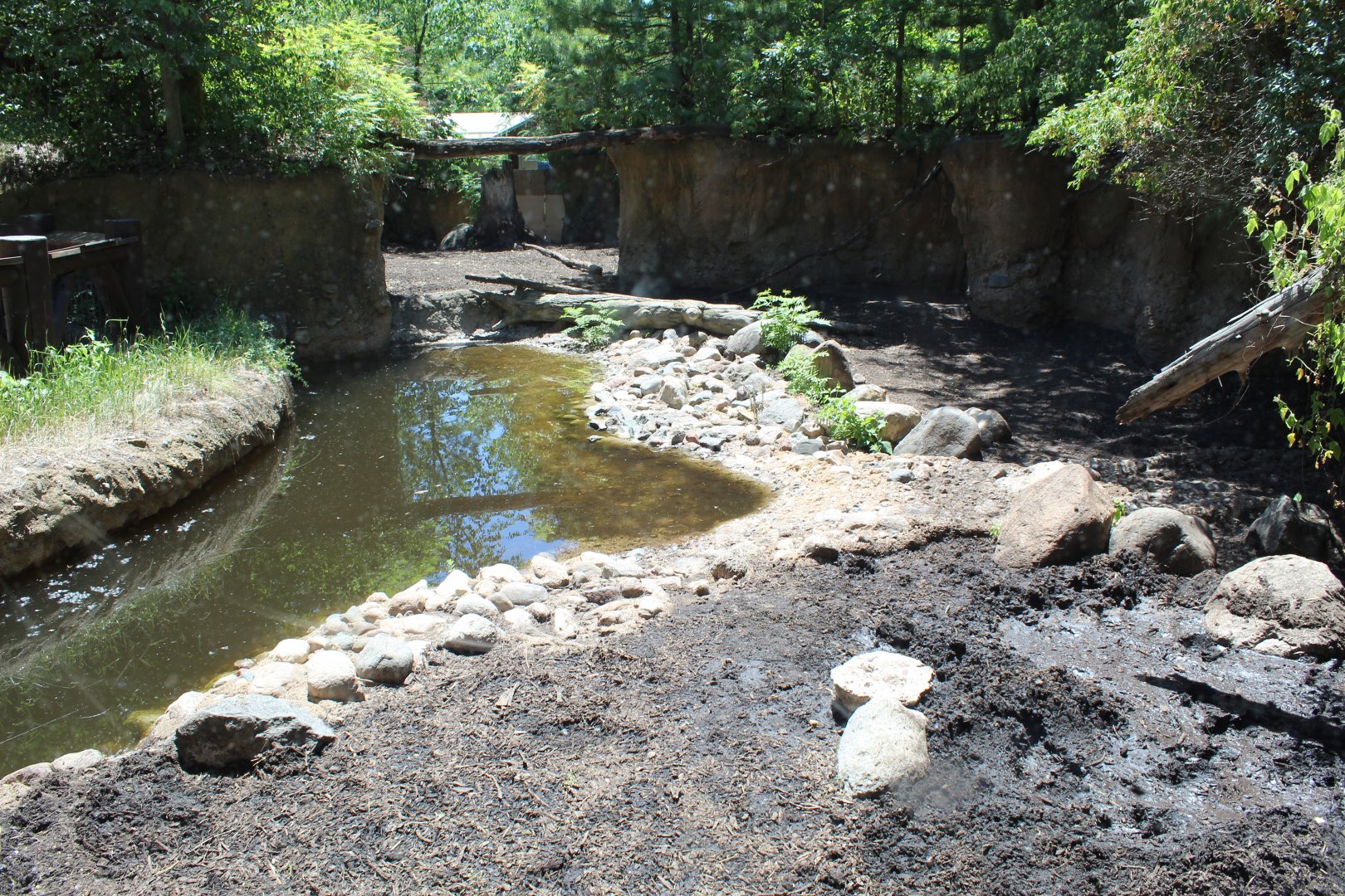 Wild Boar Exhibit - Russia's Grizzly Coast