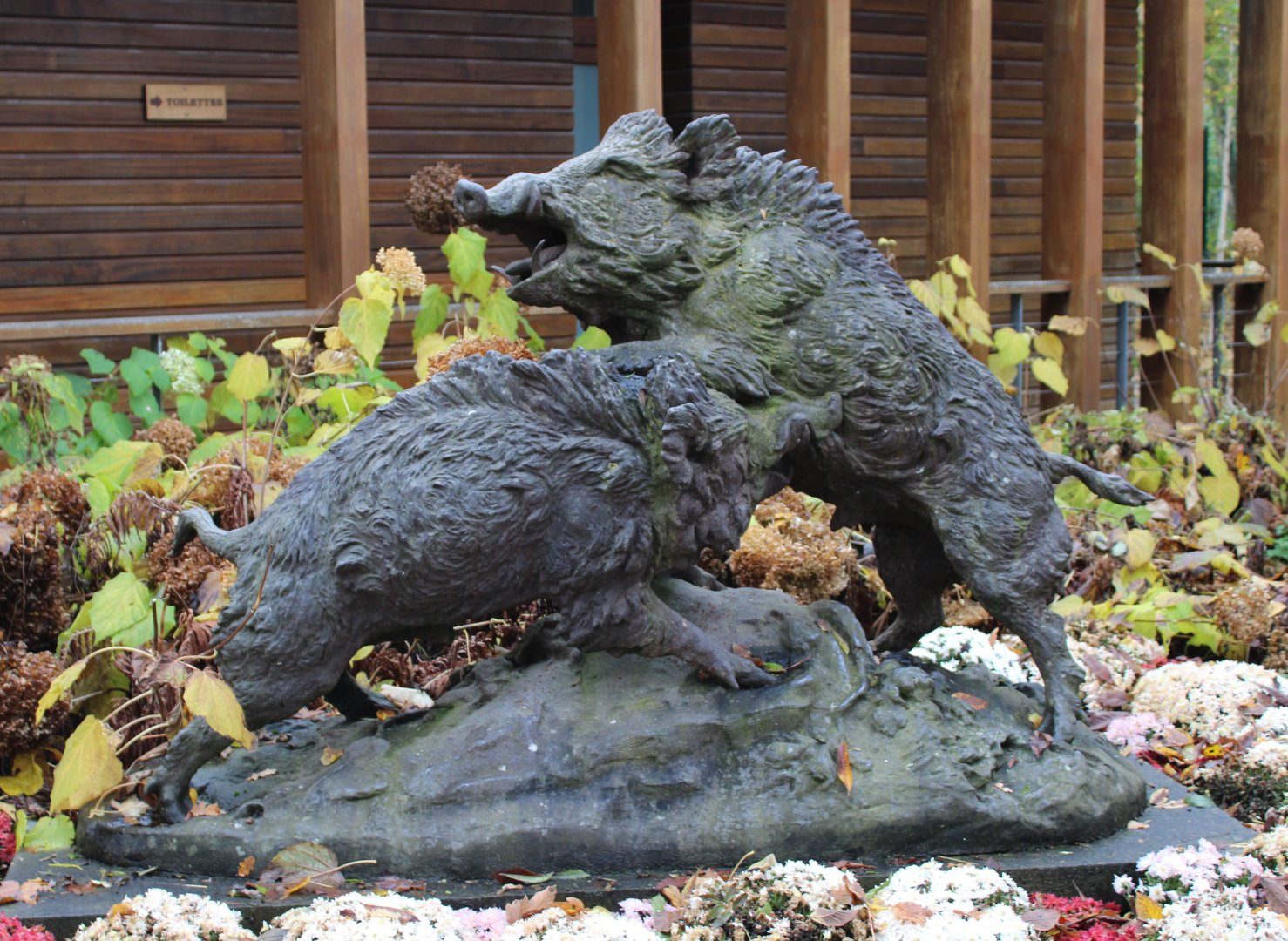 Wild boar statue