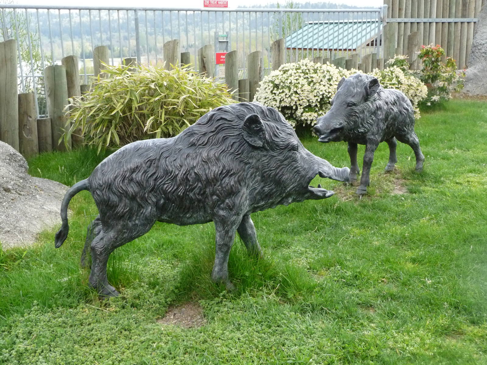 Wild Boar Statues