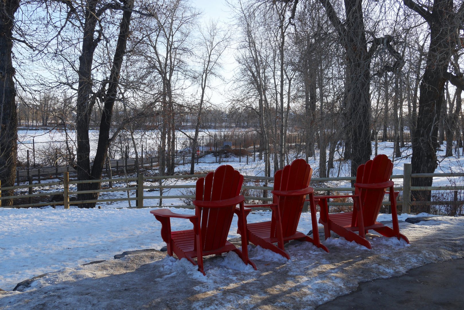 Wild Canada: Bow River and Moose Exhibit Overlook