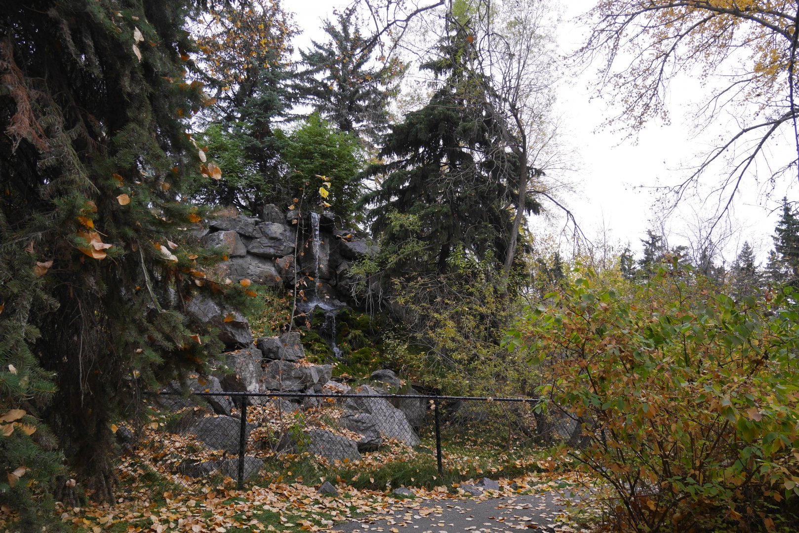 Wild Canada: Former Bald Eagle Aviary
