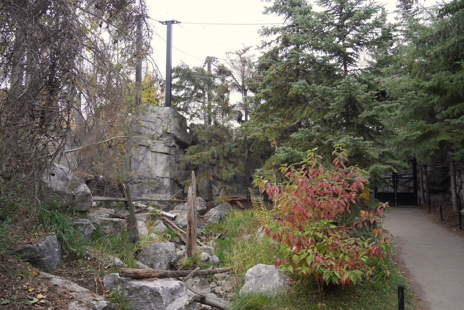 Wild Canada: Jihad Shibley Rocky Mountain Aviary Looking Back