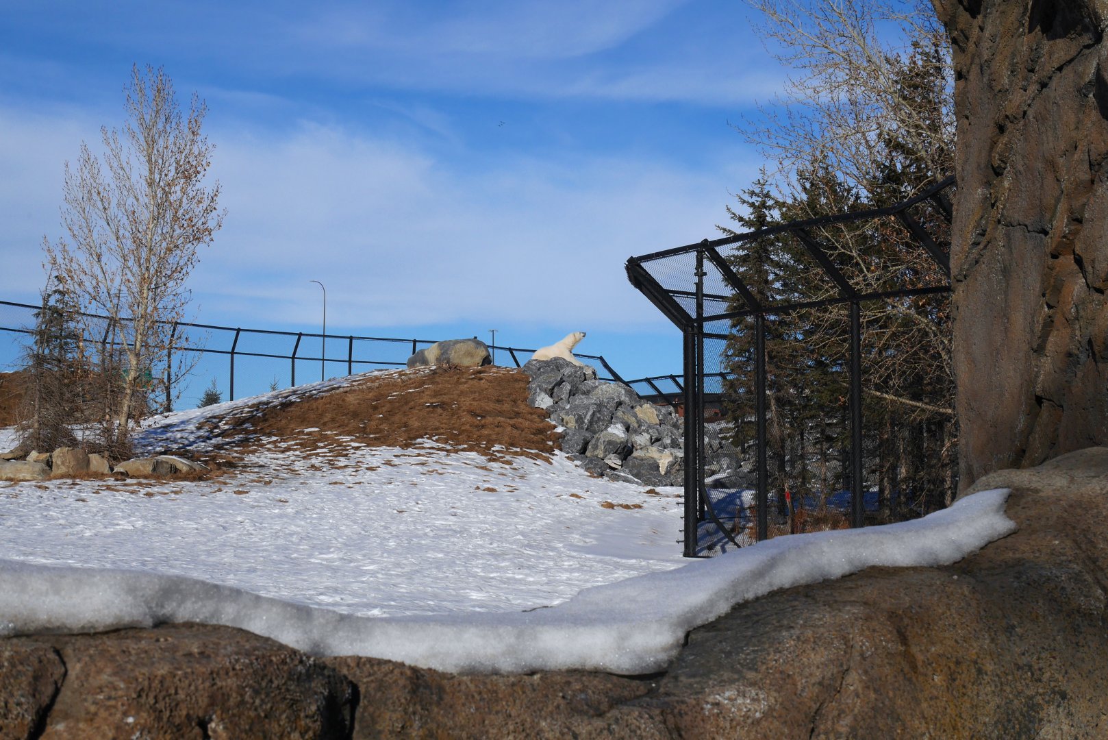 Wild Canada: TFF Polar Bear Sanctuary Lookout