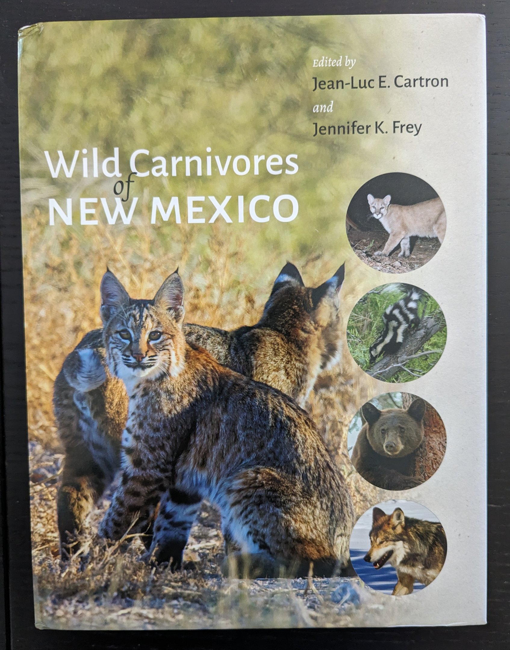 Wild Carnivores of New Mexico