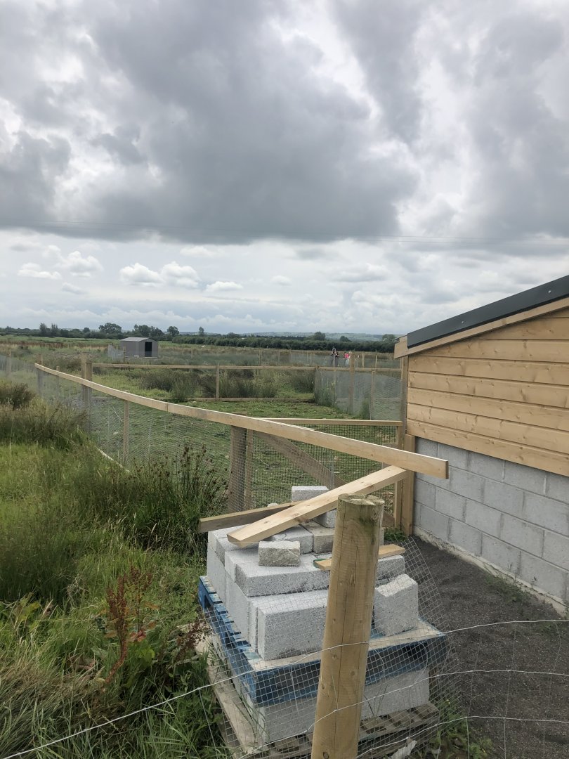 Wild encounters mini zoo - View across capybara enclosure