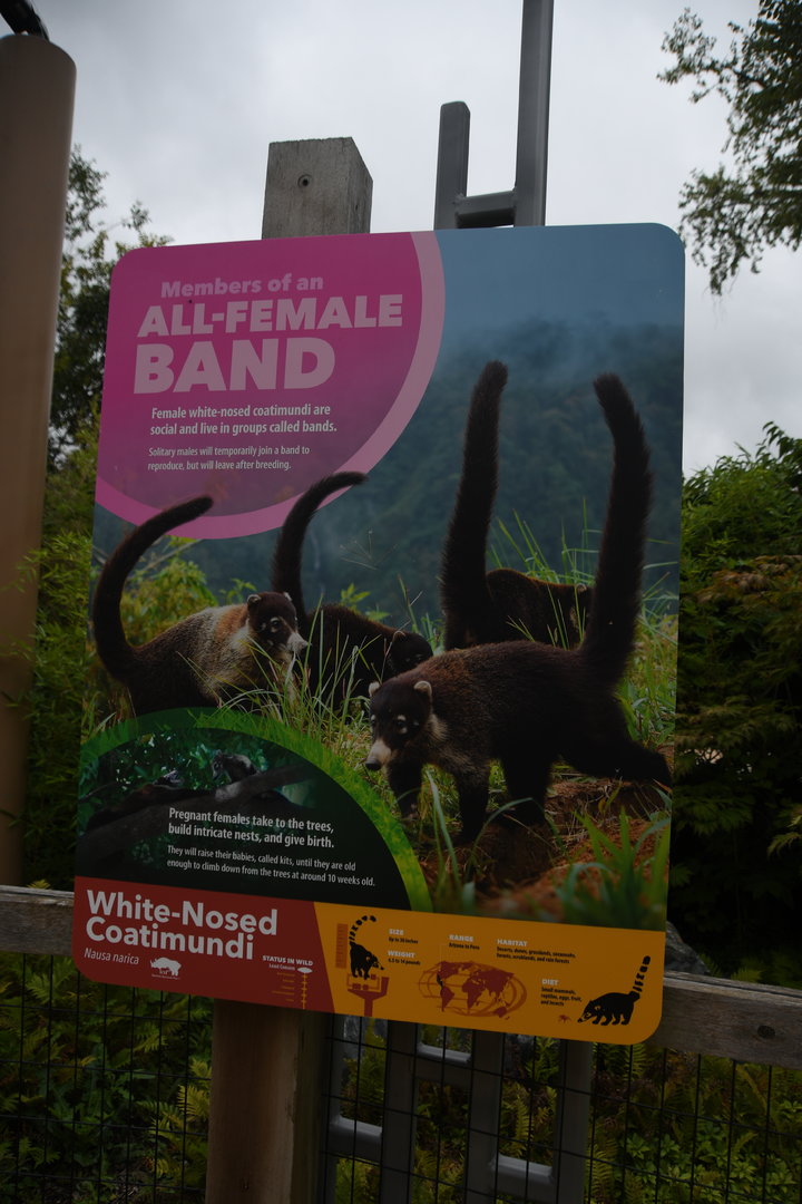 Wild Encounters - White-nosed coati signage