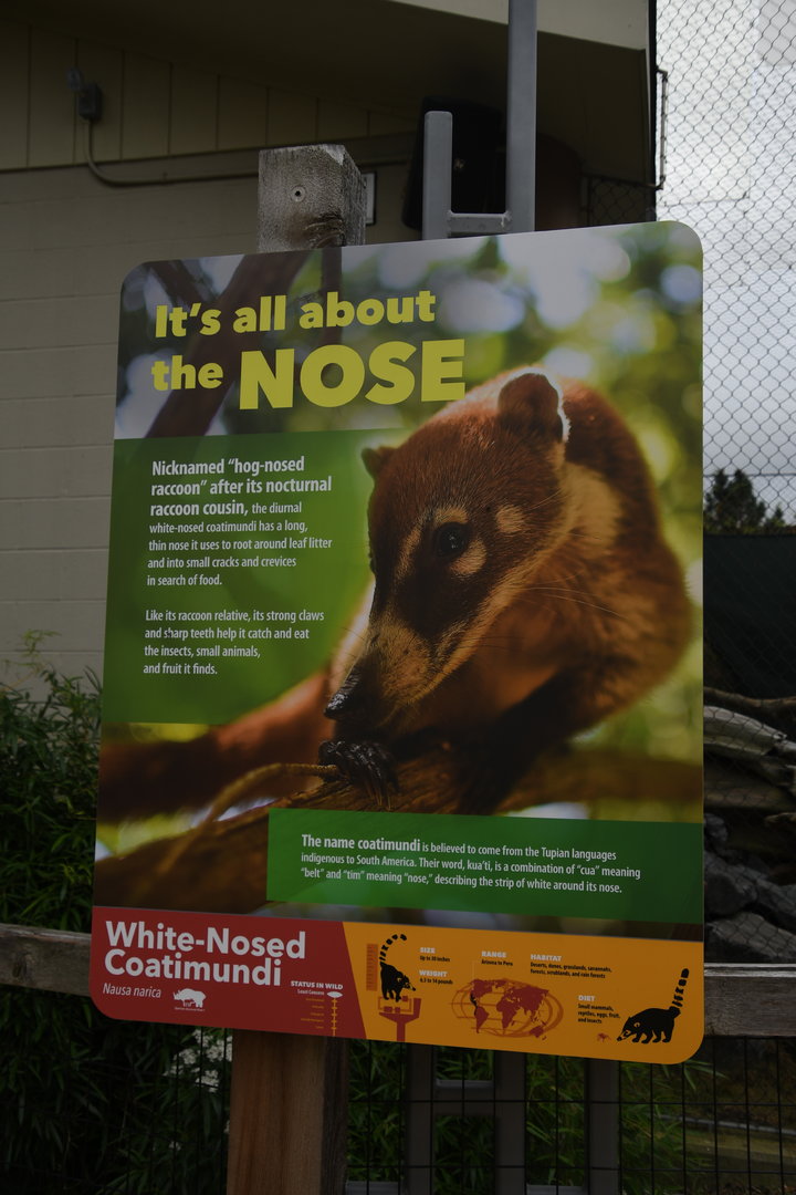 Wild Encounters - White-nosed coati signage