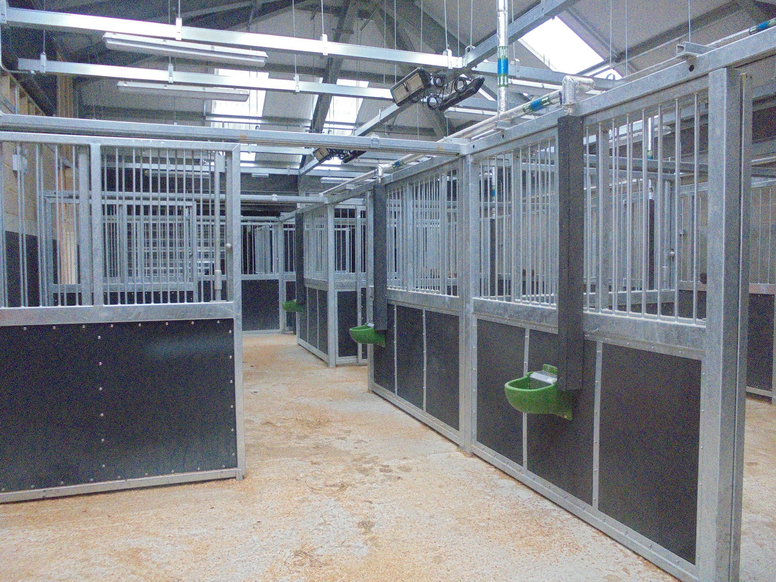 Wild Explorer`s Grevy`s Zebra internal stalls 2015.