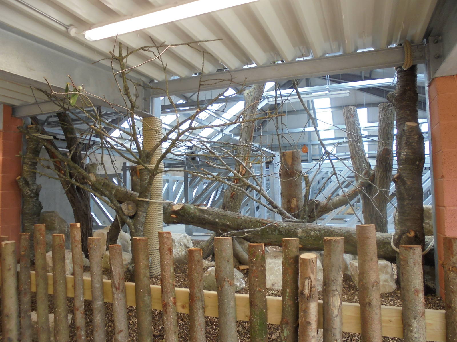 Wild Explorer`s internal Rhino facility 2015.