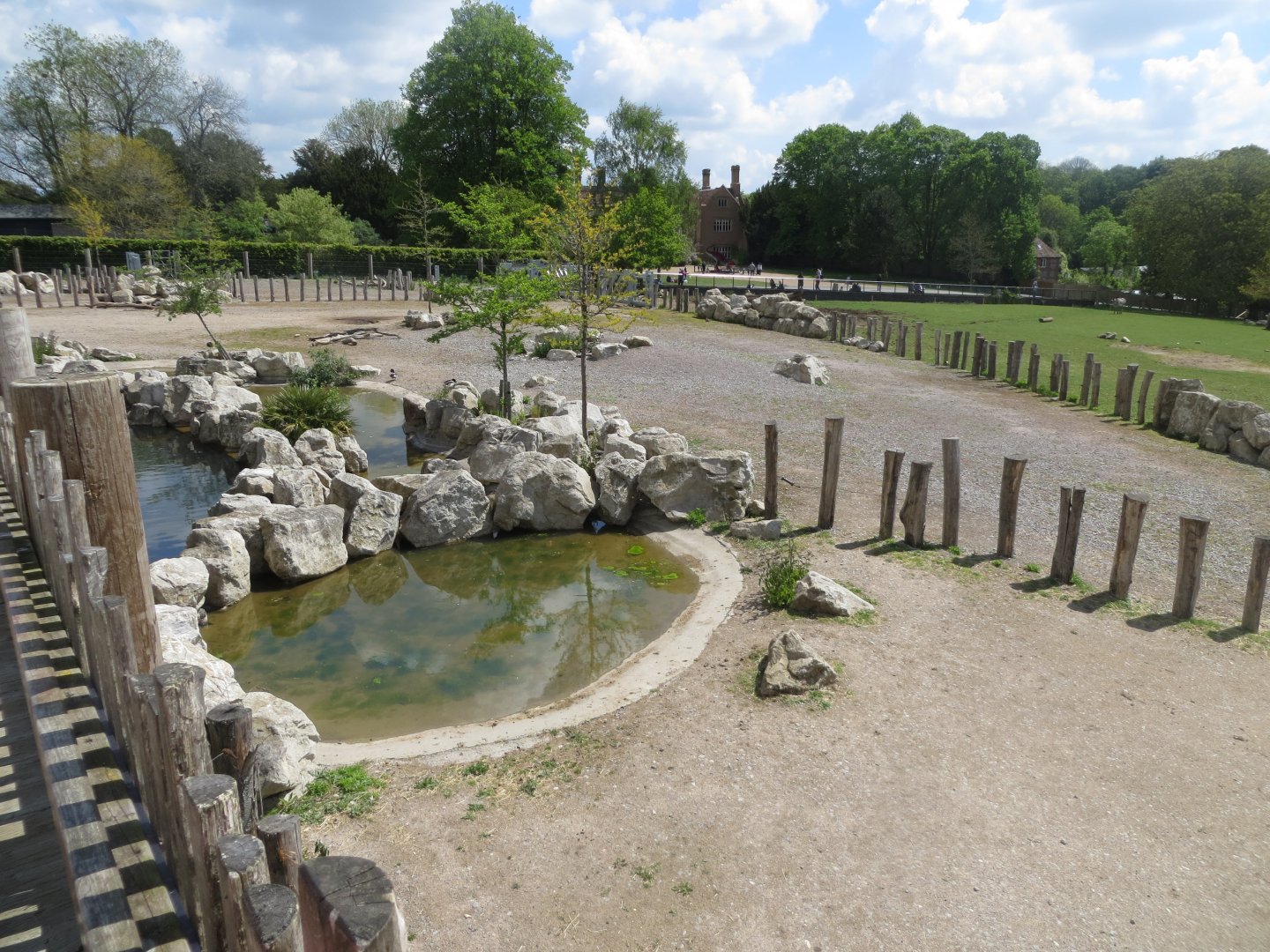 Wild Explorers 110519