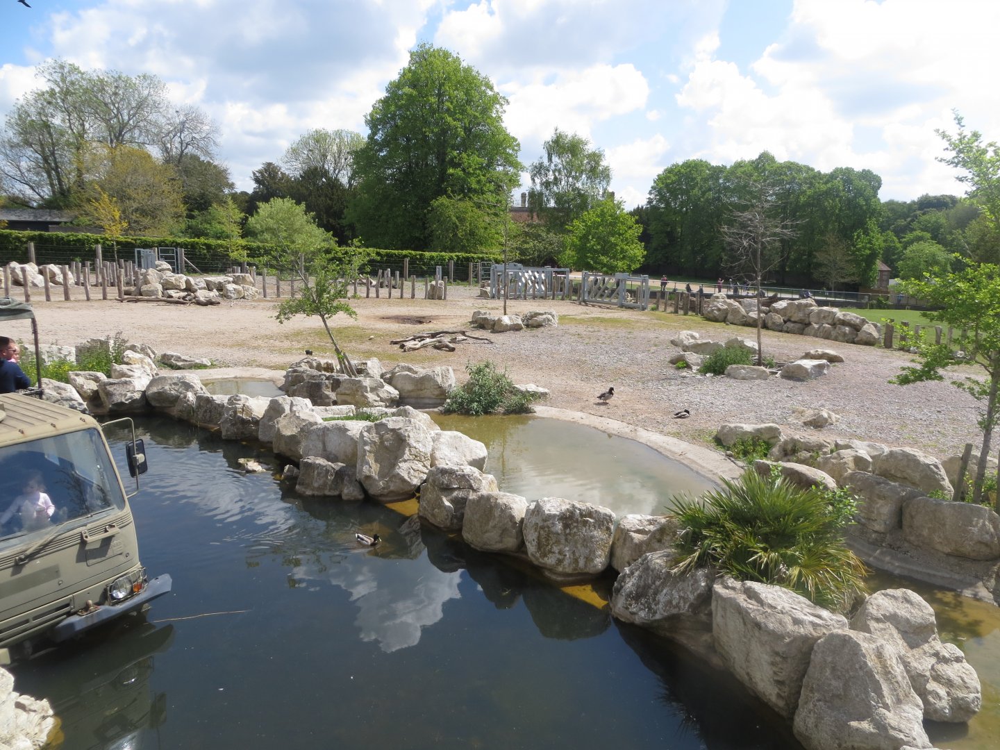 Wild Explorers 110519