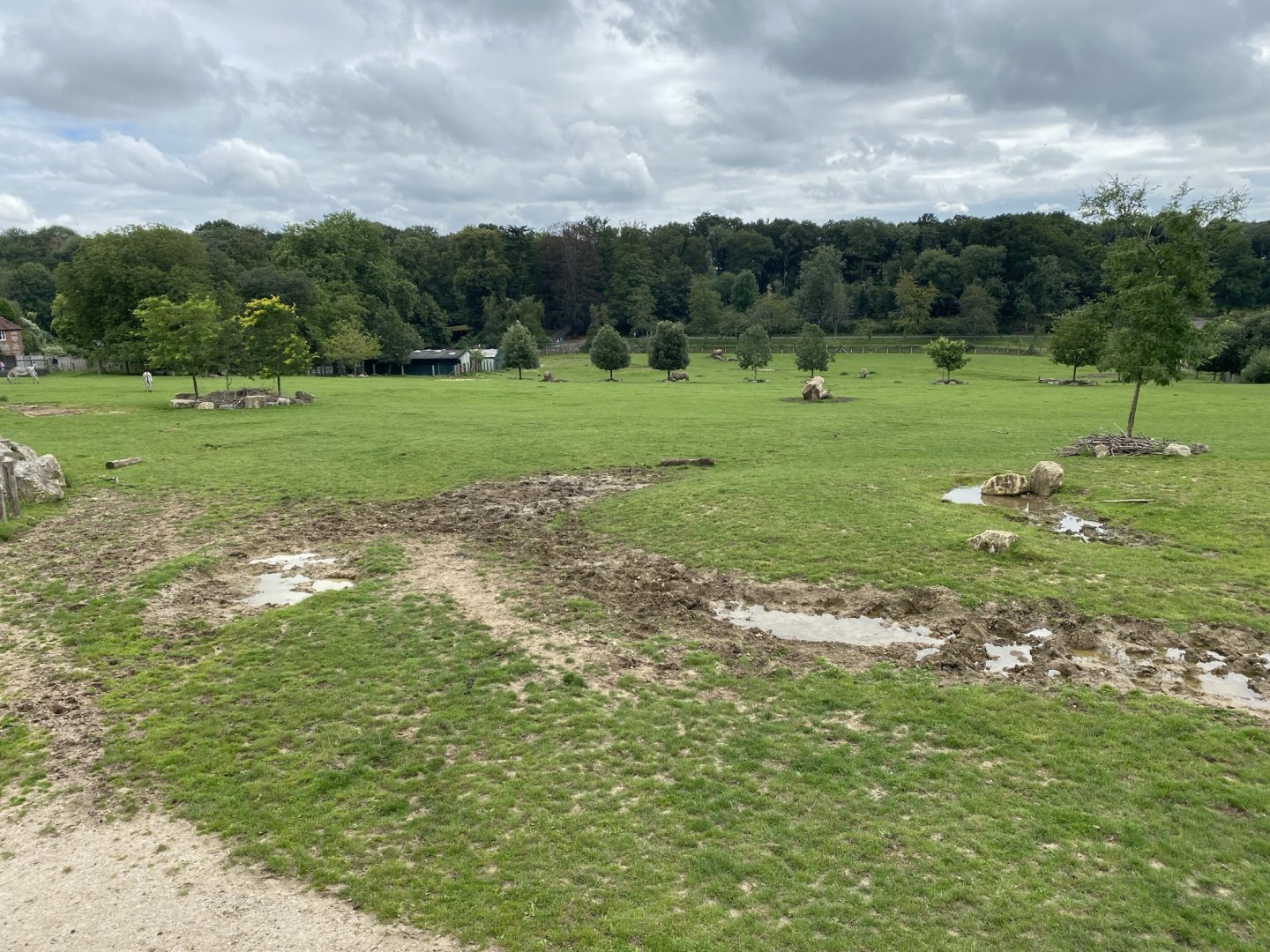 Wild Explorers 120821