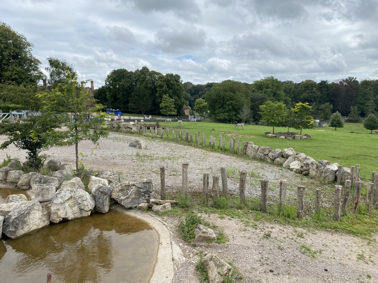 Wild Explorers 120821