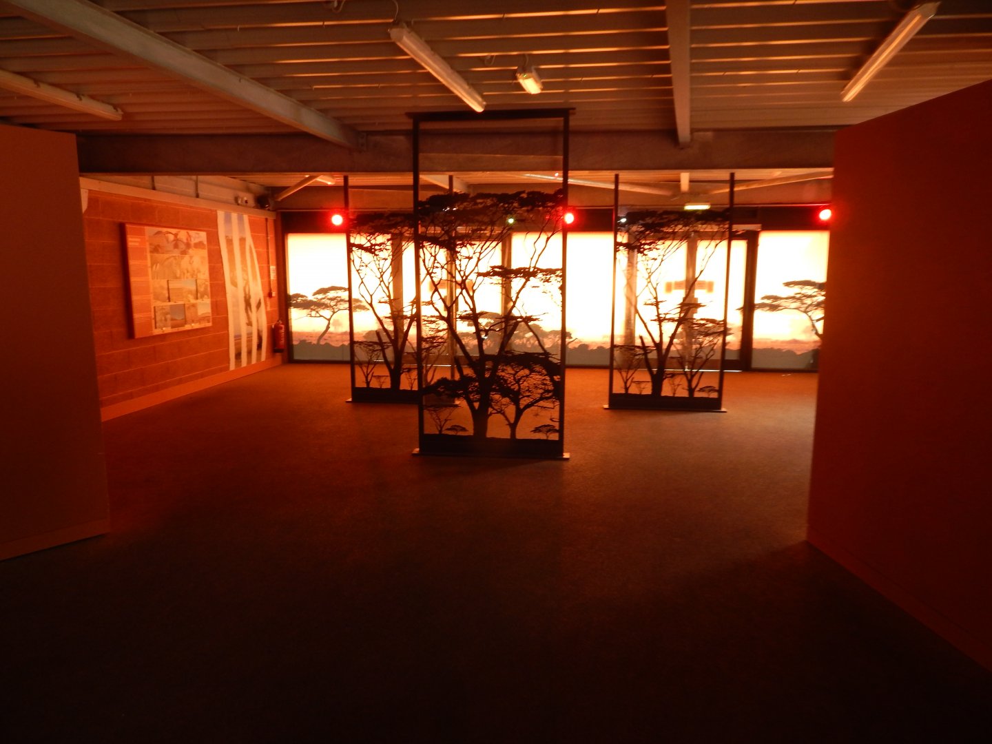 Wild Explorers 150725