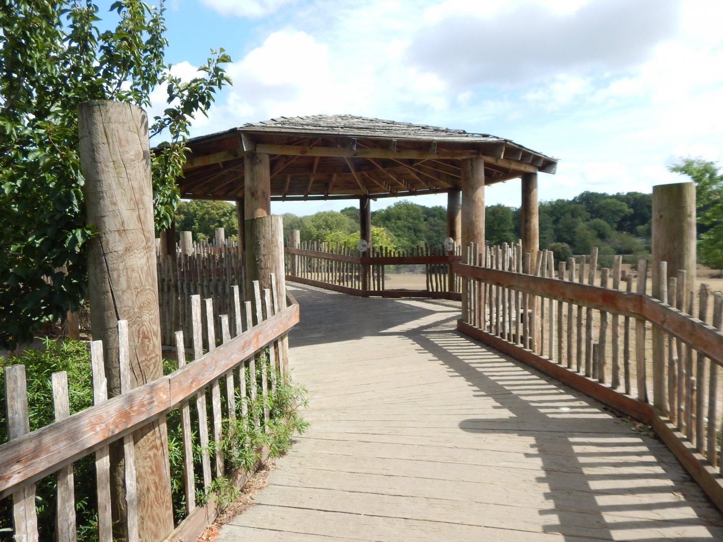 Wild Explorers 150725