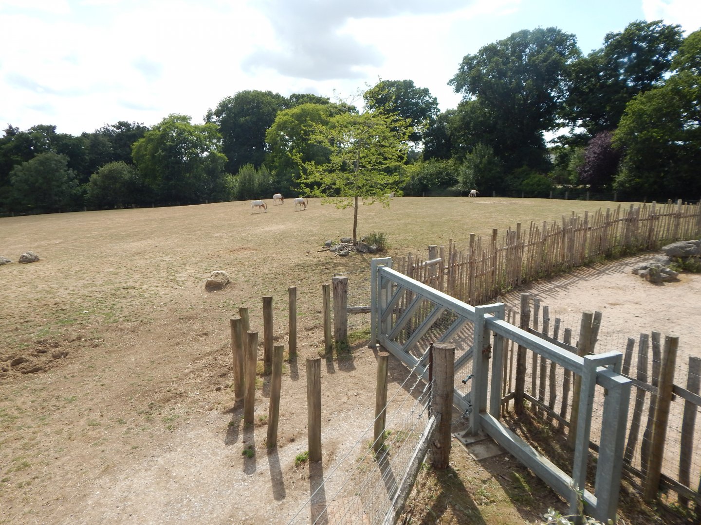 Wild Explorers 150725