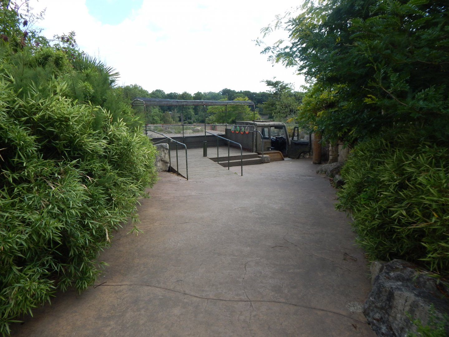 Wild Explorers 150725