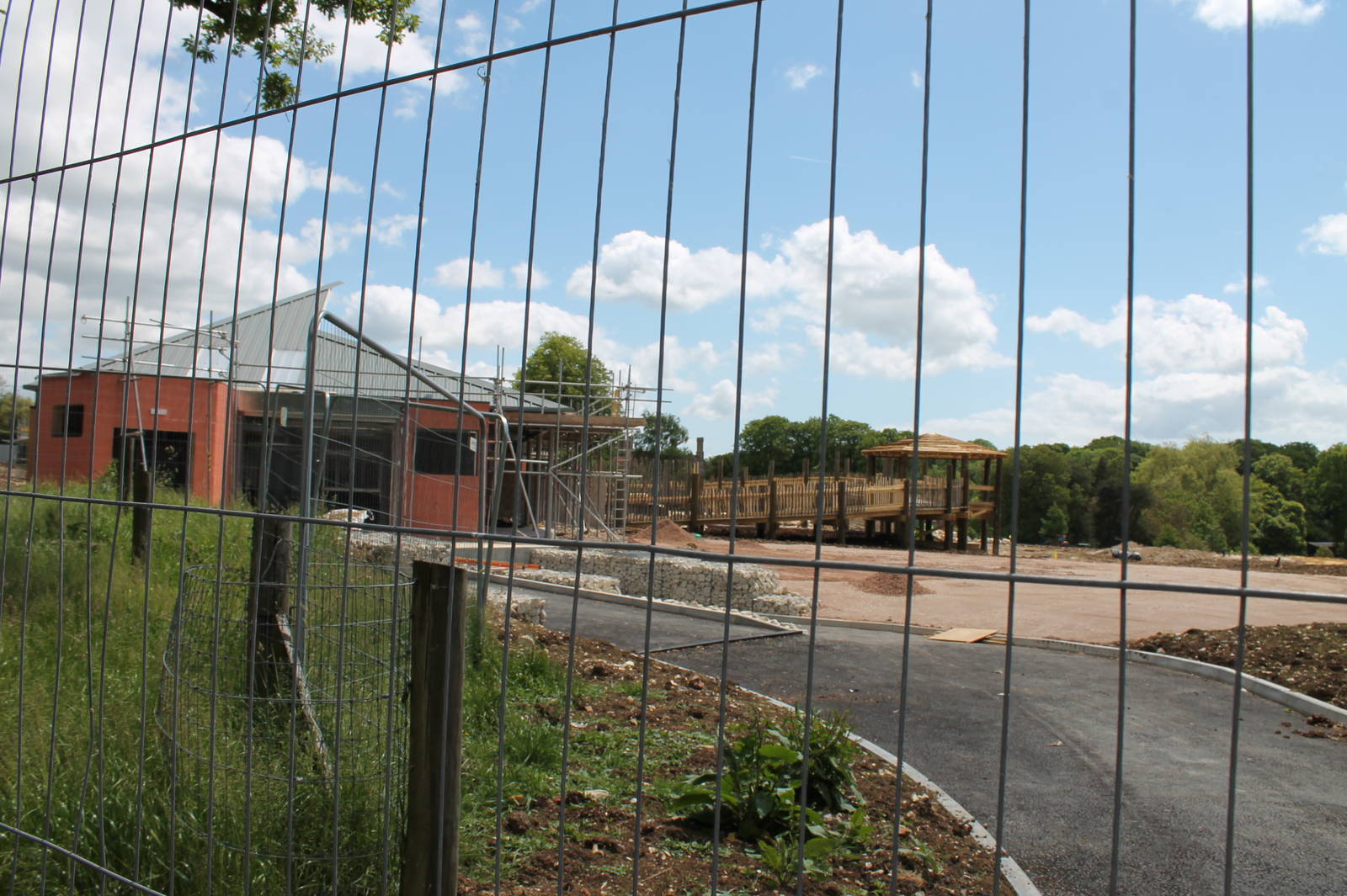 Wild Explorers construction