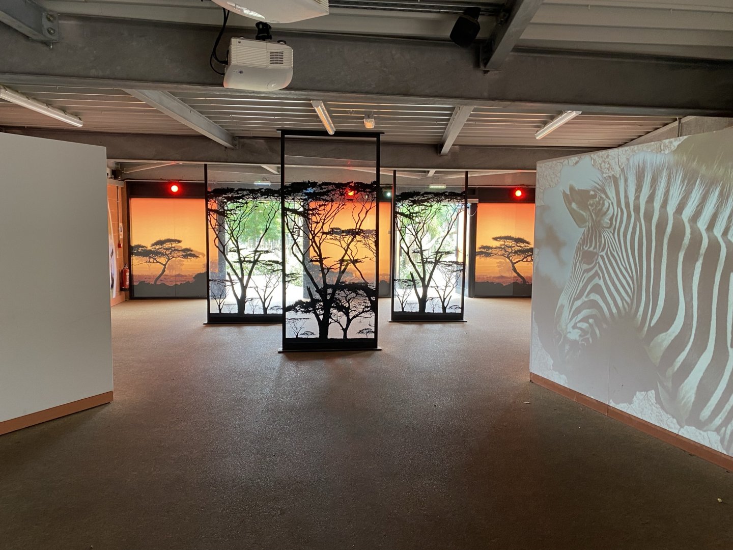 Wild Explorers indoors 120821