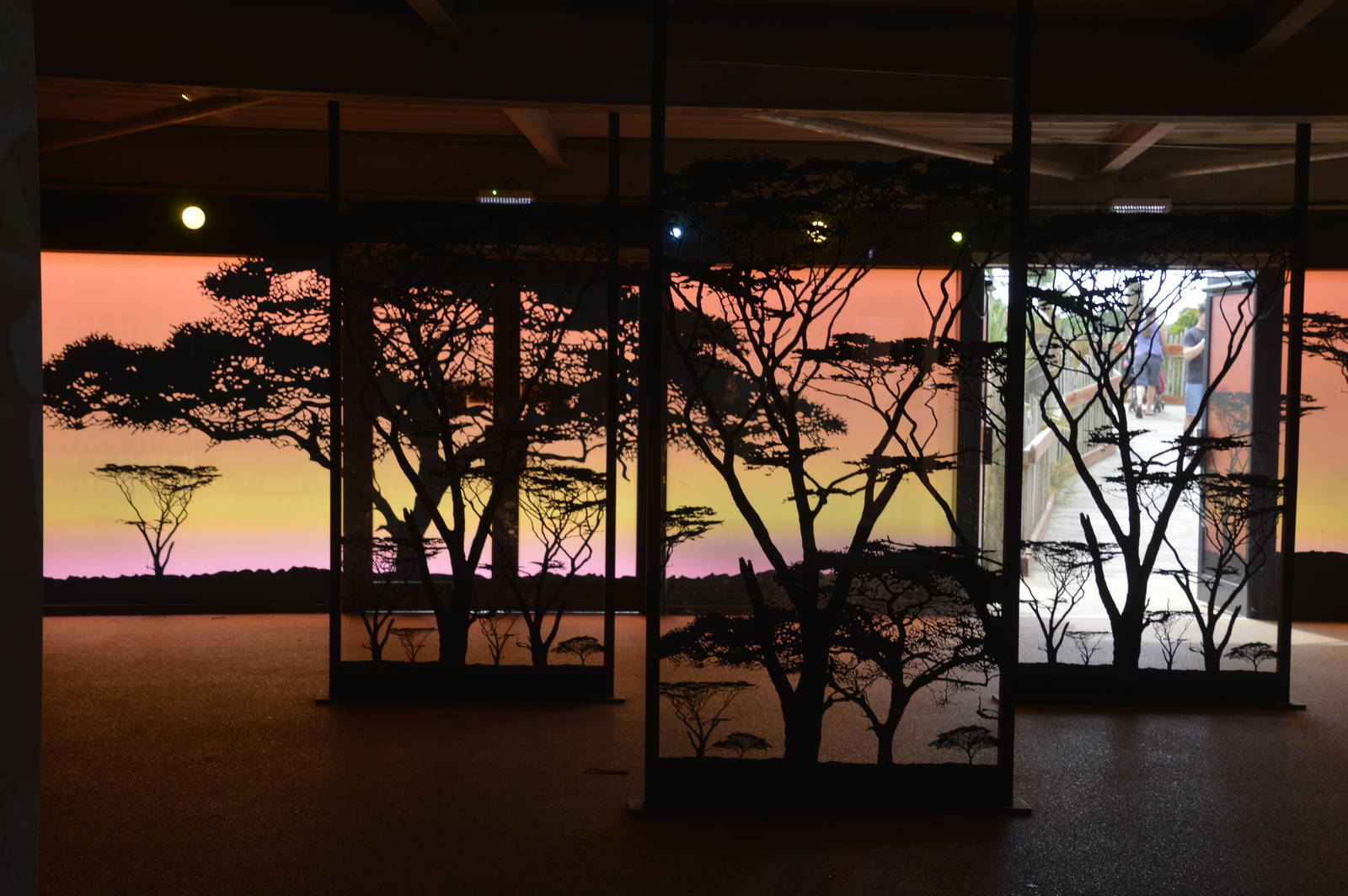 Wild Explorers inside 090716