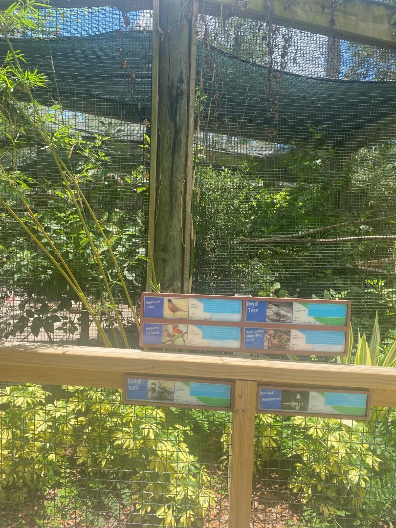 Wild Florida- Aviary (6 species)
