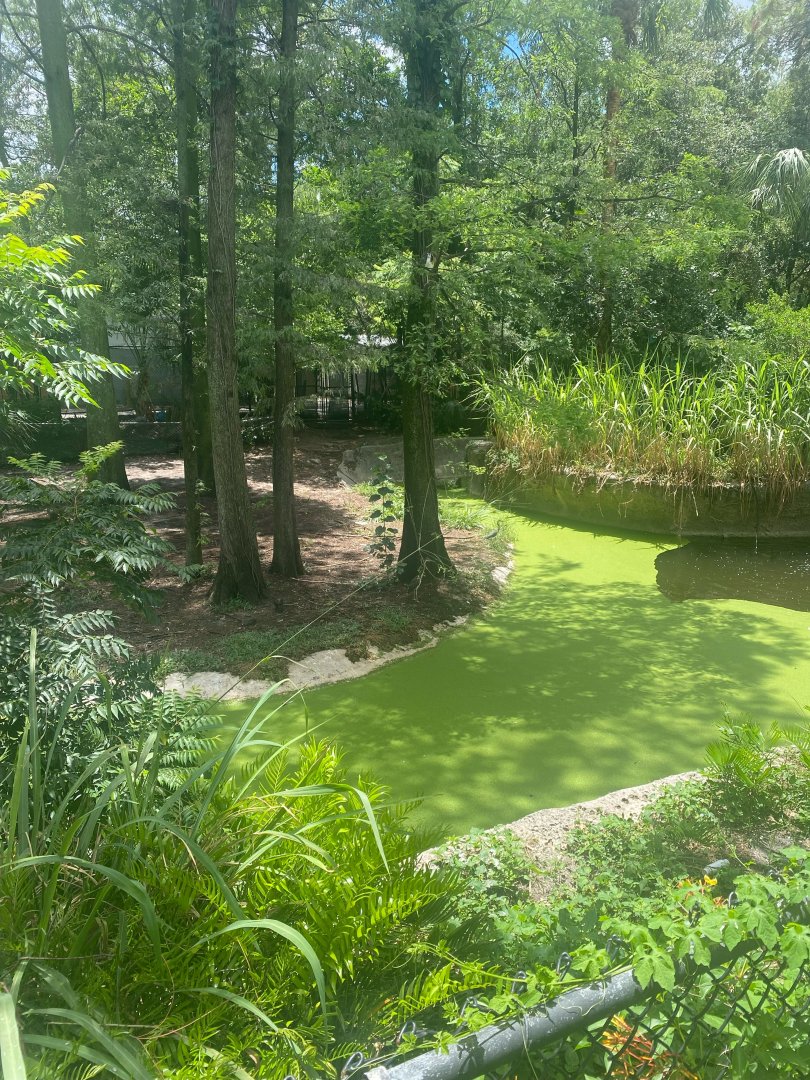 Wild Florida- Empty Exhibit