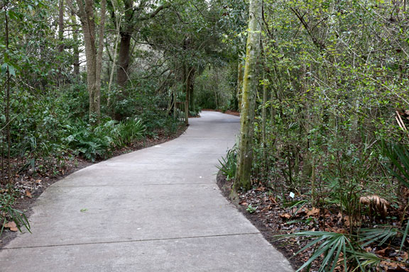 Wild Florida exhibit